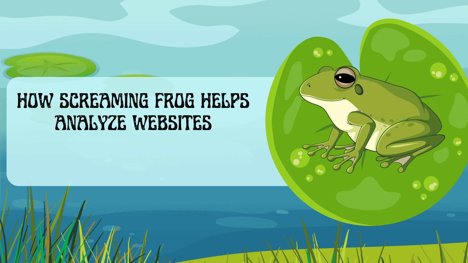 How Screaming Frog Helps Analyze Websites